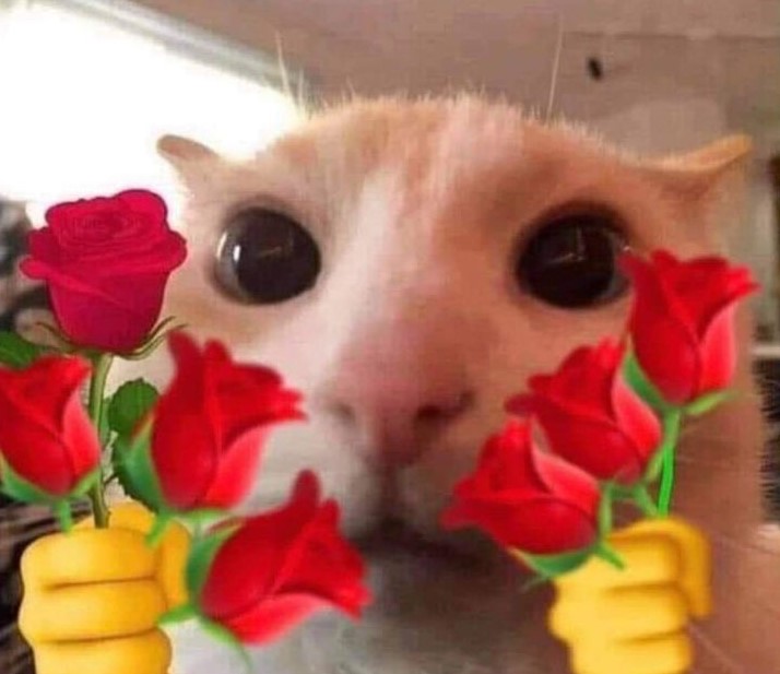 gato con flores